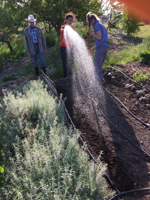 Nephew and mom planting corn