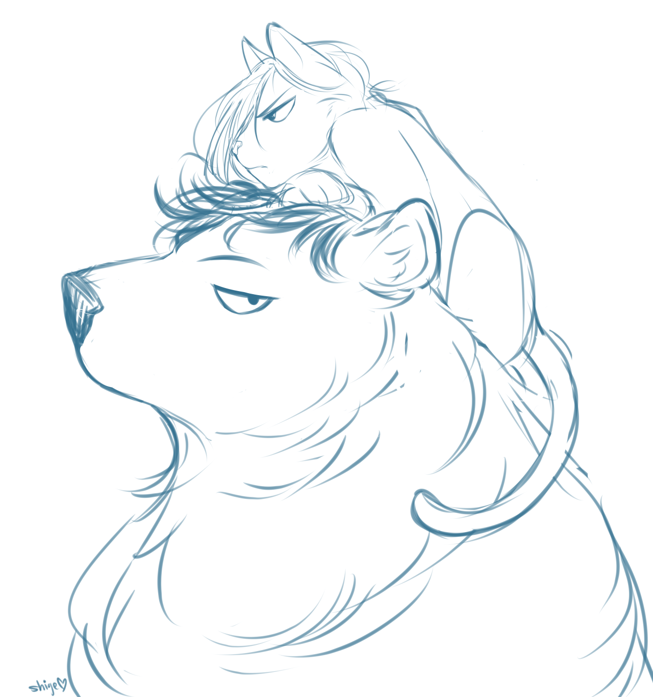 shige0: local bear bonds with kitten