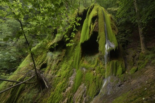 Ruisseau de Lhécou, vallée de Lesponne. by Faireal tales from Here