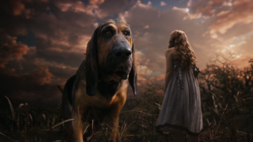 Alice in Wonderland, 2010Dark Fantasy, AdventureDirected by Tim Burton Cinematography: Dariusz Wolsk