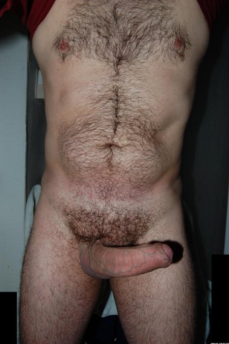 hairy-chests:  hairy-chestshttp://hairy-chests.tumblr.com 