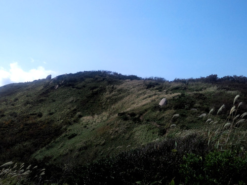 岩篭山（いわごもりやま、Mt.Iwagomori、標高765.2m）敦賀三山（野坂山、岩籠山、西方ヶ岳）登山道の風景（12日、急に陽が射してきた。1分位でしたがちょっと神々しい気分に。）、岩篭山からイ