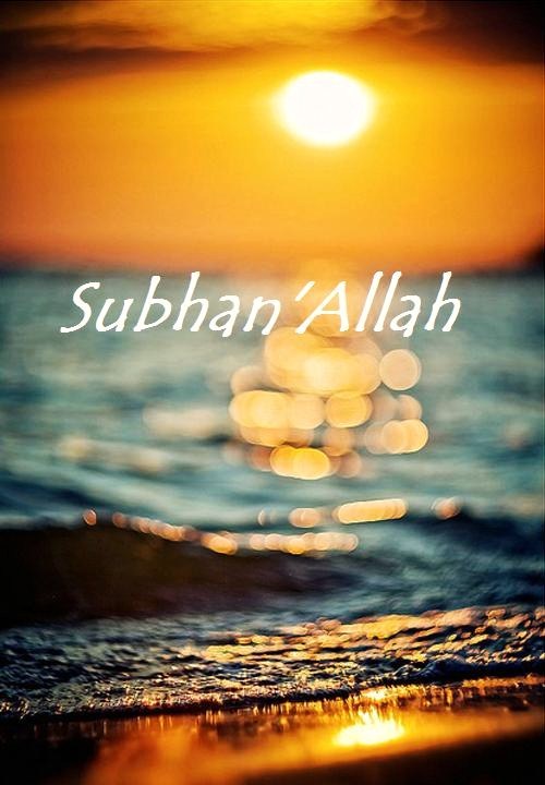 SubhanAllah at Sunset“Glory to Allah”
Originally found on: asmalaura