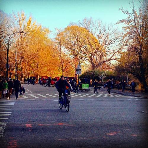 #autumn #newyork #nyc #ny #Manhattan #travel #city #centralpark #trees #urban #citystreets #colors #
