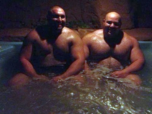 justbulls:  Thick Bulls 