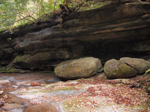 happy-geology: Layered sandstone beds of a Miocene age (15 million yrs ago).