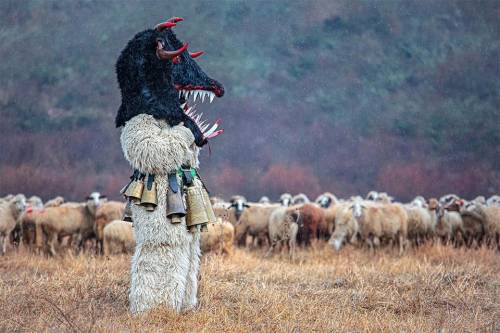 talonabraxas:Bulgarian, The keeper of the herd. by Evo Danchev