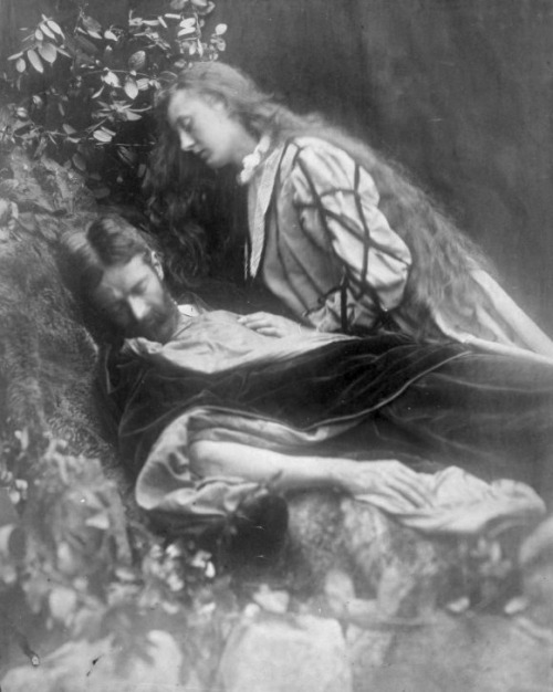 funeral-wreaths: Selected photographic illustrations by Julia Margaret Cameron of Alfred Lord Tennys