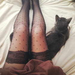colorfulkeys:  tights , tulle and kitty 