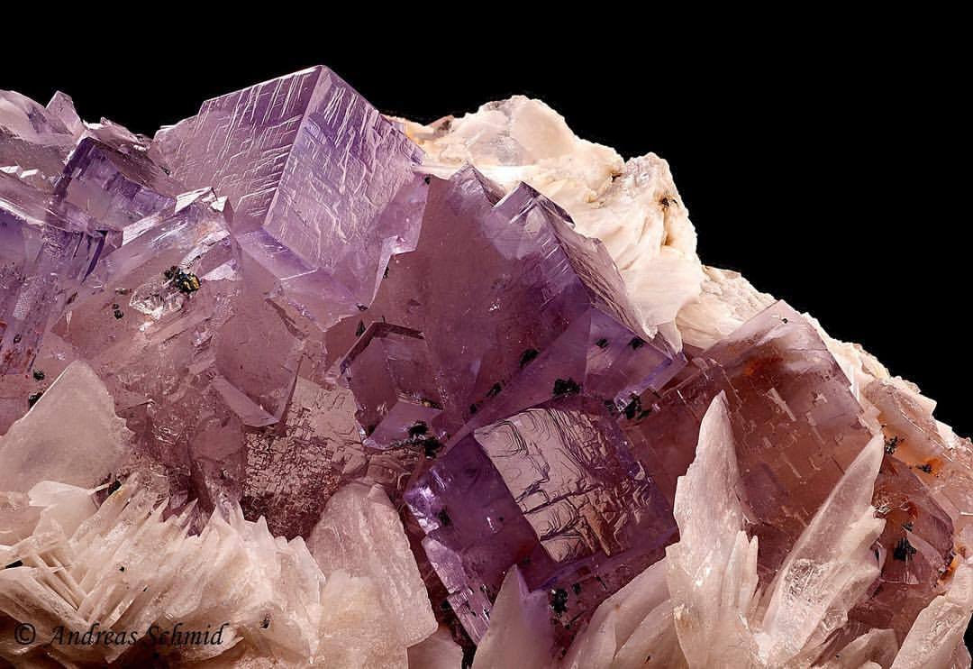 geologypage:  Fluorite | #Geology #GeologyPage #Mineral  Locality: Berbes, Asturias,