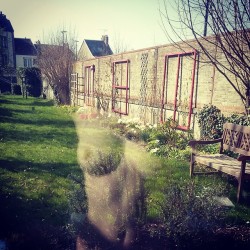 lalouveencage:  C'est sympa d'avoir un jardin…