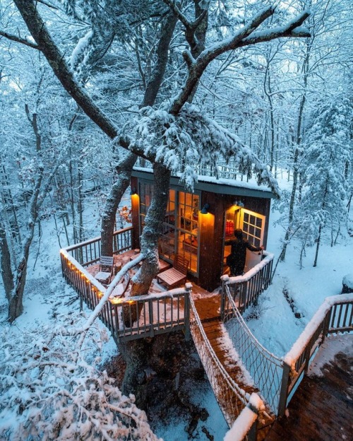 wild-cabins: Huck