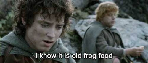 thebibliosphere: nosoundinspace:  buckyforcap:  glumshoe:  absynthe–minded:  glumshoe:  I pretend to be complex and clever but in reality, nothing has ever made me laugh harder than those bad Chinese subtitles from the bootleg Lord of the Rings DVDs.