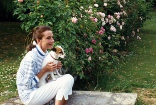 Audrey Hepburn photographed with her Jack Russell terriers, at La Paisible in Switzerland, 1987