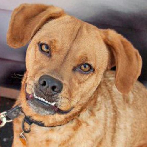 Looking for true love in Los Angeles this Valentine’s? Look no further than Cinnamon! How can 