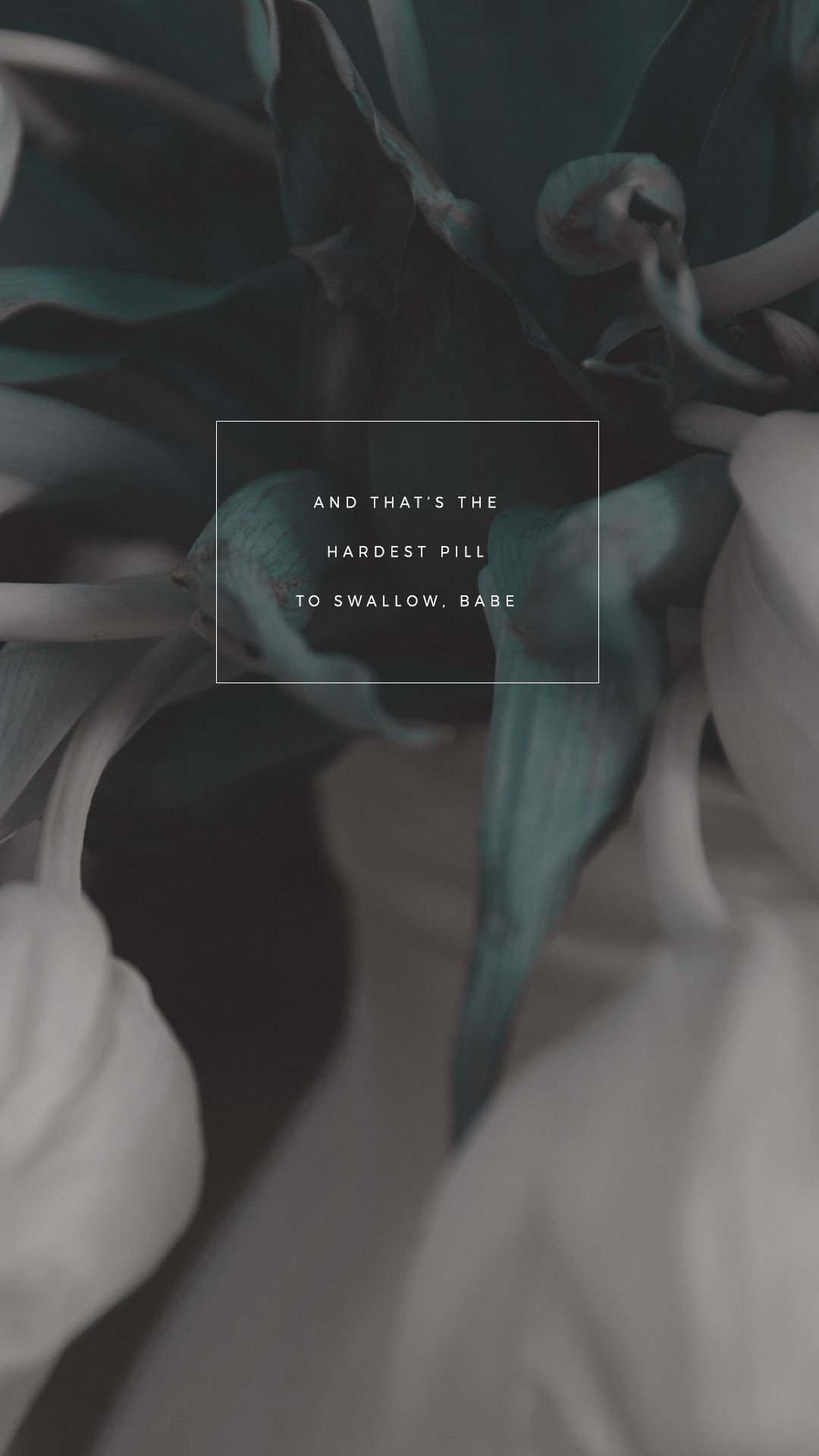 kaespo lockscreens no. 228 - molly lyrics by dicky...