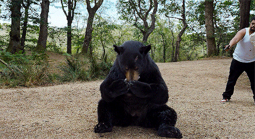 Cocaine Bear (2023) Dir. Elizabeth Banks 