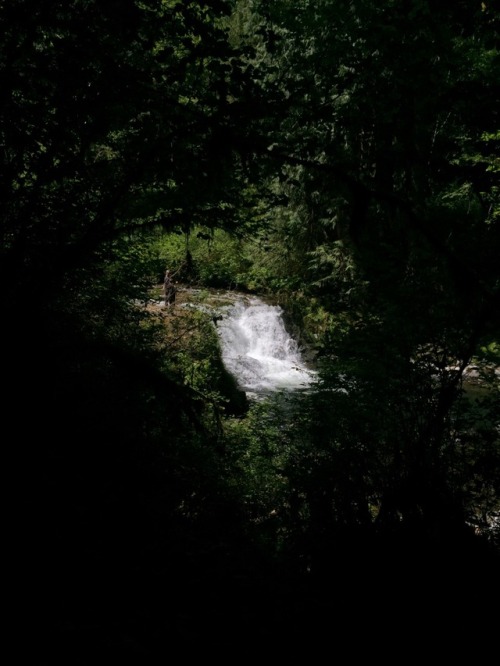 My family and I went on an adventure today.