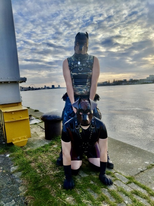 The Mandatory Crane Images From Darklandsthanks @PupRufusAD For The Pics