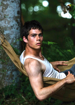 jeremyew:  michaela-coel:  Dylan O’Brien in The Maze Runner*   Dylan O’Brien in My Wet Dreams*_ 