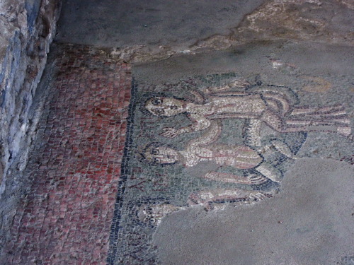 romegreeceart:Garni Fortress, Bathhouse, fragment of mosaic on the floor, 3rd century CE