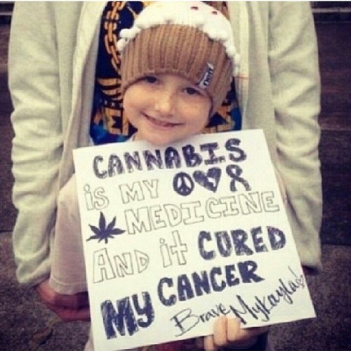 flyasabirddotcom:  #TheTruthAboutHERB   #Repost from another #LegalizeHerb fan club member »> @jahblessed7 «<  Follow my peeps #LegalizeMarijuana #HerbalMedication #HERB #Cannabis #Marijuana #CuresCancer #HealTheSick #HealANation #letsgetmedicated