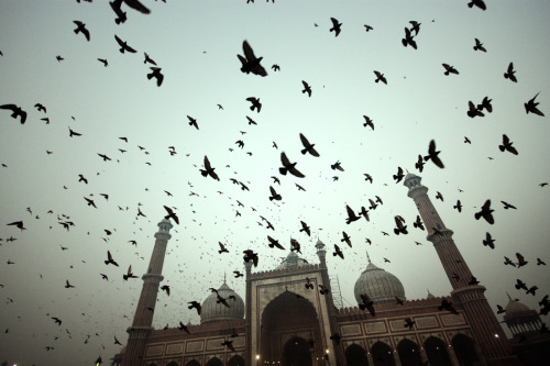 kassirer: An early morning at Old Delhi’s historic mosque, the Jama Masjid.