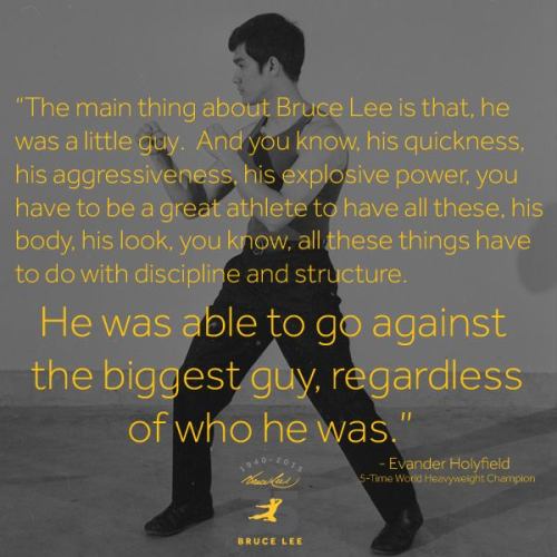 Part 2: The Qutos Of Bruce Lee!