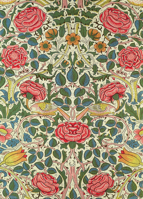 Porn magictransistor:  William Morris. Rose Painting. photos