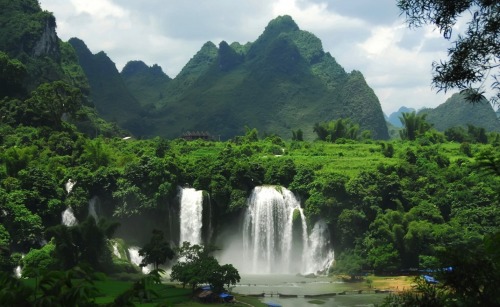 t-iki-oasis: tropicei: coconut-jungle: serene-tribe: ✿ ✌ ☯ more  tropical here☯ ✌ ✿ ☯☯TROPICAL/JUN