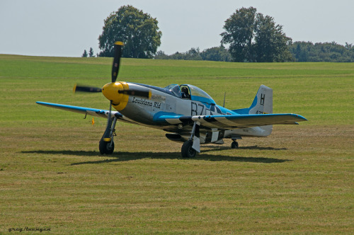 Louisiana Kid&hellip;Mustang