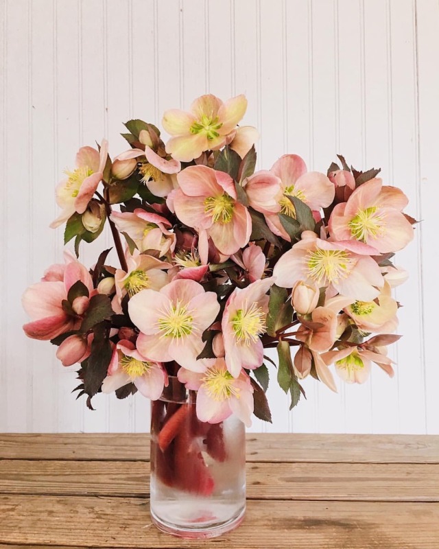 fleur-aesthetic:instagram | lovenfreshflowers porn pictures