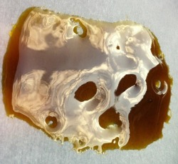 longbongjohnson:  Skull reflection in my Deathstar shatter.