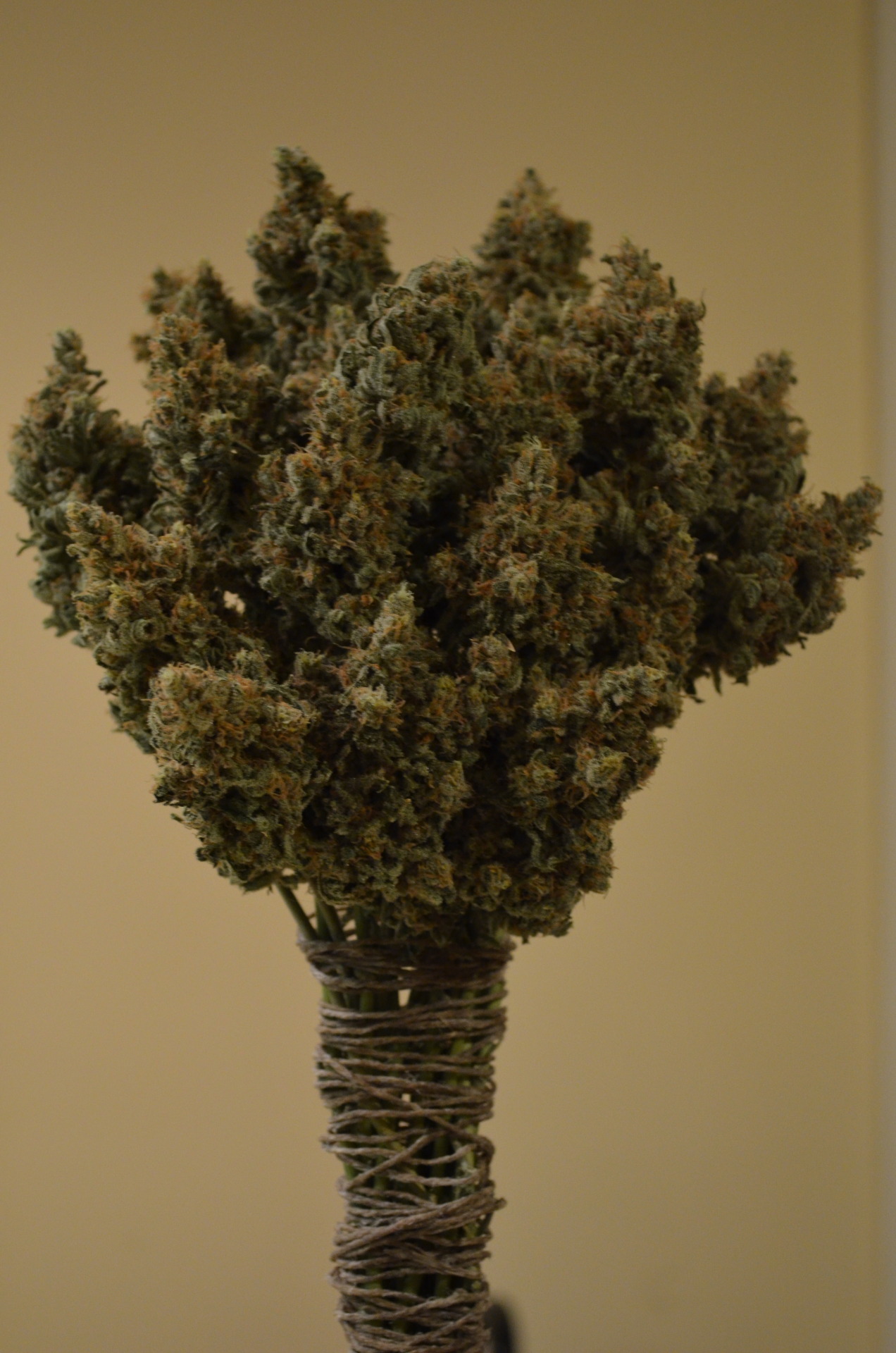 incredible-kush:  Every girls favorite flowers 