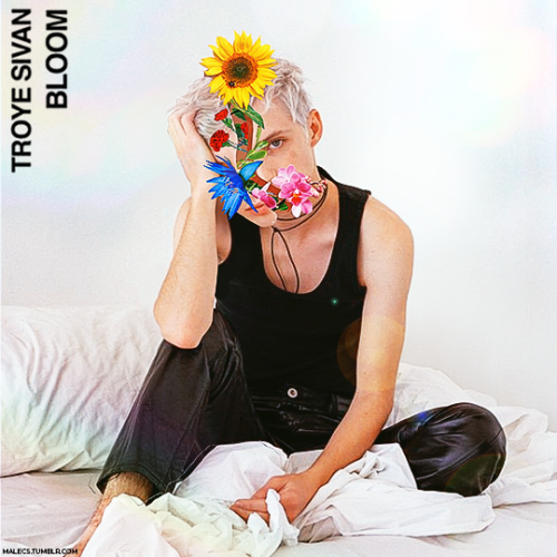 malecs: “It’s about flowers.” – Bloom, Troye Sivan