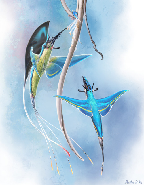 The Skydrops Of Chriirah.