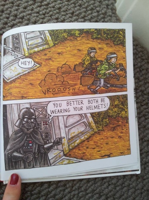 thecoffeepanda:stone-faced-sunset:the-tardis-landed-in-my-bedroom:I found this little book on ‘Vadar