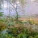 etherea1ity:“September morning” by Andreas