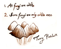 blossomingnaturalist: danamartinillustration:  InkTober Day 2 Fungi advice from Terry Pratchett  I couldn’t help but post it haha 