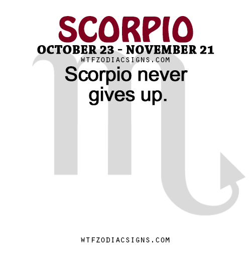 wtfzodiacsigns:  Scorpio never gives up.   - WTF Zodiac Signs Daily Horoscope!  