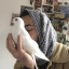 feathersboy