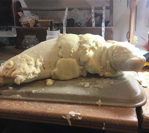 The Harbor Seal pup is finished and with his new family at the Santa Barbara Museum of Natural Histo