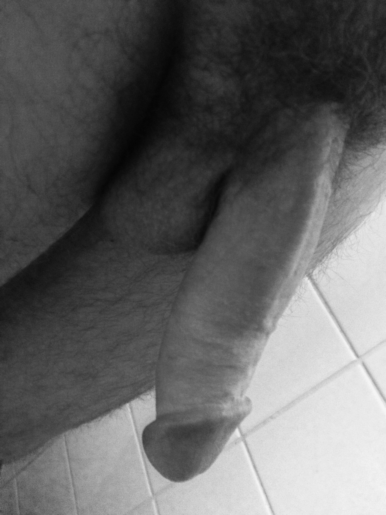 thefrenchdude:  Just a few pictures of my softie in the bathroom  That is one perfect