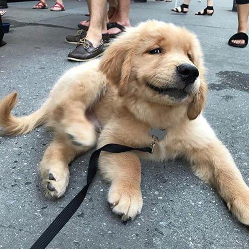 abethebaberuth:me