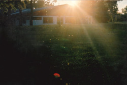 imshootingfilm:   	camp by Magnus  Jørgensen    	I tried to take a photo of these tiny gnats that were glowing in the sunset, but it ended up just being a blurry photo.   