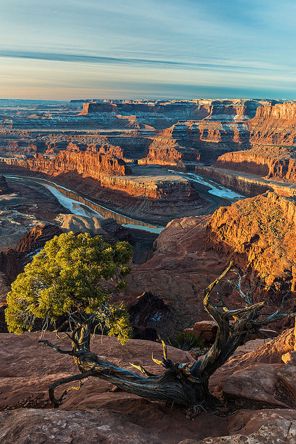 flo-patrol:  brutalgeneration:  Overlook at Dead Horse Point by Guy Schmickle on