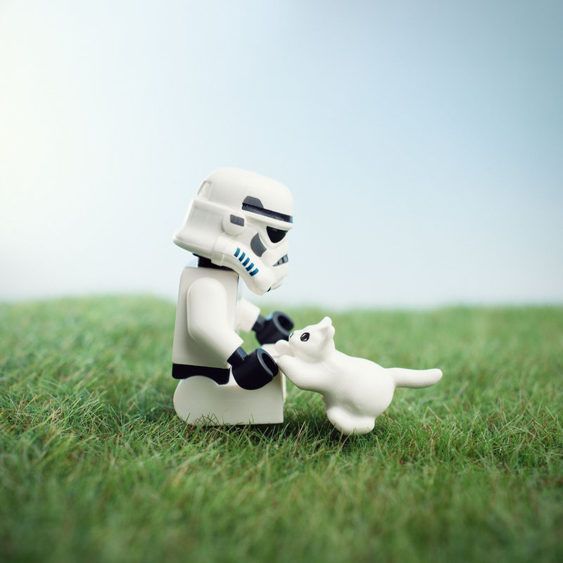 ginger-sith:  spaceangel1az:  martinekenblog:  Funny photos by Mike Stimpson All
