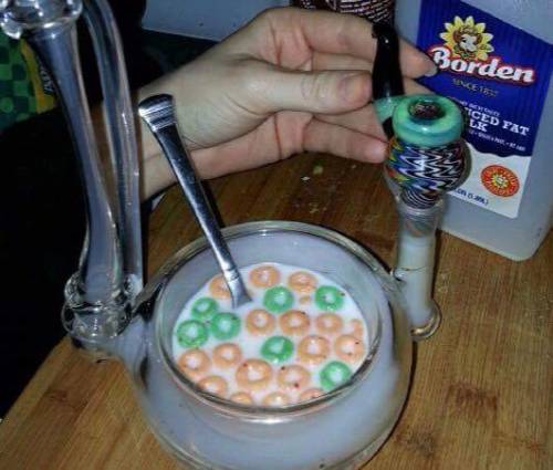 oregonkink: king-nasty: dannkkk: trilobitesoup: nice morning bowl this fuckin piece It’s every