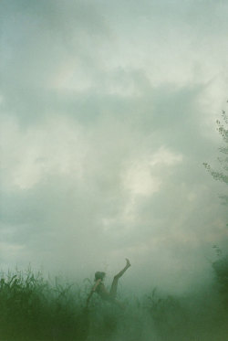 ryanmcginley:  Falling (Cornfield), 2007 