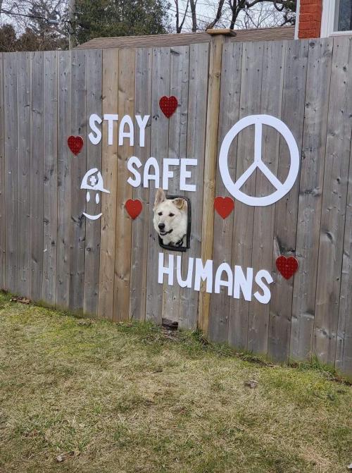 somecutething:  Just a reminder. Wear a mask, Treat others the way you would like to be treated. Stay Safe Humans,(via Reddit)